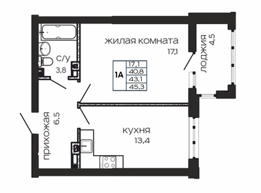 45,3 м², 1-комнатная квартира 10 101 900 ₽ - изображение 20