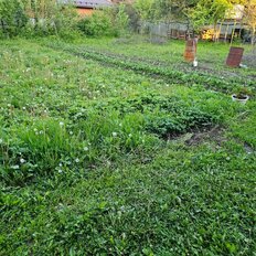 10 соток, участок - изображение 3