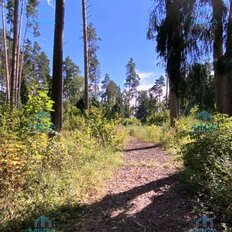 4,1 га, участок коммерческого назначения - изображение 2