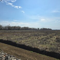 6 соток, участок - изображение 4