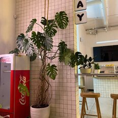 155 м², готовый бизнес - изображение 5