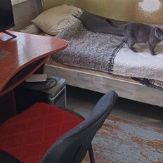 Квартира 41,1 м², 3-комнатная - изображение 1