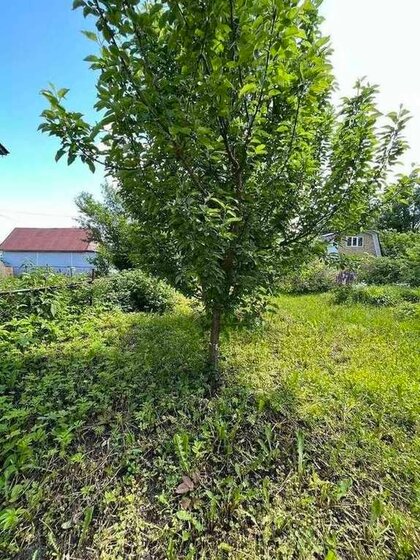 34,2 м² дом, 11,4 сотки участок 199 000 ₽ - изображение 55
