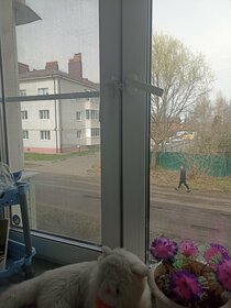 Снять однокомнатную квартиру с парковкой у метро Двигатель Революции в Нижнем Новгороде - изображение 2