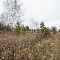 16 соток, участок - изображение 3