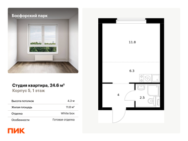 Квартира 24,6 м², студия - изображение 1