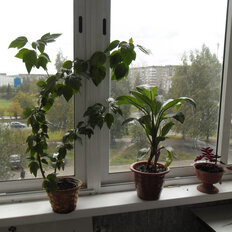 Квартира 81 м², 4-комнатная - изображение 3