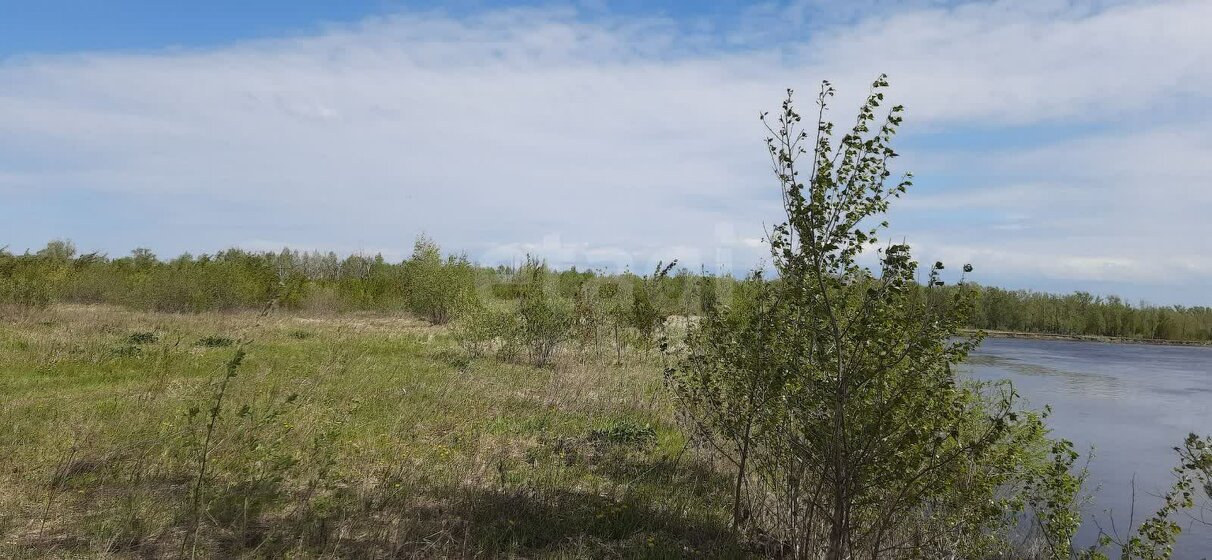 40 соток, участок 600 000 ₽ - изображение 1