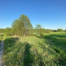 51,7 сотки, участок - изображение 2