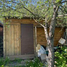 5 соток, участок - изображение 4