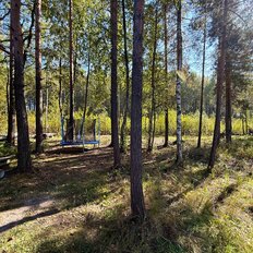 15,5 сотки, участок - изображение 3