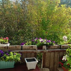 Квартира 89,6 м², 4-комнатная - изображение 1