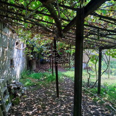 5 соток, участок - изображение 4