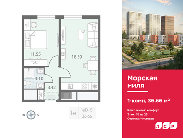 Квартира 36,7 м², 1-комнатная - изображение 1