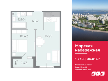 49,4 м², 1-комнатная квартира 13 076 880 ₽ - изображение 27