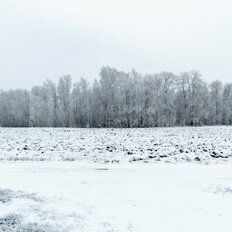 6 га, участок коммерческого назначения - изображение 4