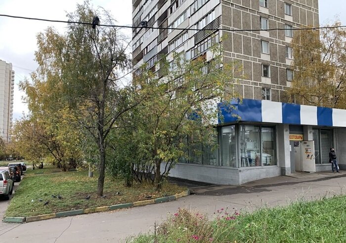 250 м², торговое помещение 56 500 000 ₽ - изображение 1