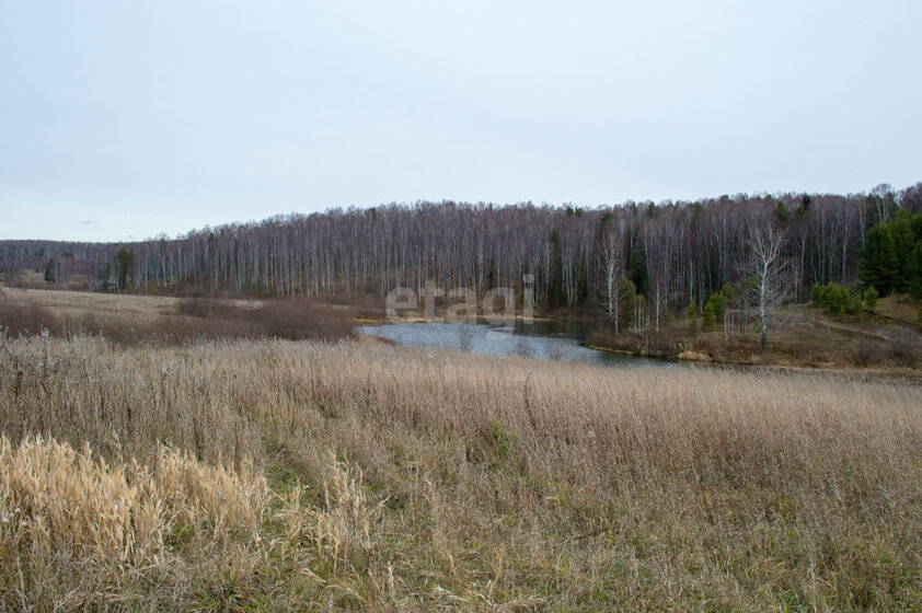 500 соток, участок 290 000 ₽ - изображение 1