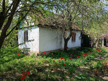 Купить трехкомнатную квартиру с раздельным санузлом в районе Приморский в Санкт-Петербурге и ЛО - изображение 2