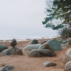 24 сотки, участок - изображение 1