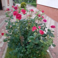 дом + 15 соток, участок - изображение 4