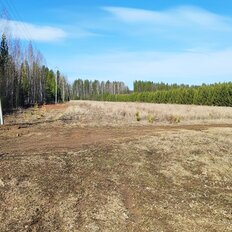 3 га, участок - изображение 3
