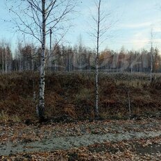 19 соток, участок - изображение 1