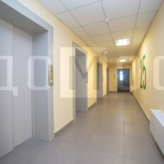 Квартира 53,3 м², 2-комнатная - изображение 5