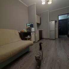 Квартира 21 м², студия - изображение 2
