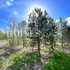 36 соток, участок - изображение 4