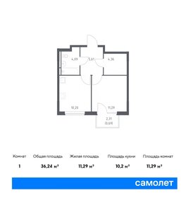 Квартира 36,2 м², 1-комнатная - изображение 1