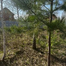 7 соток, участок - изображение 1