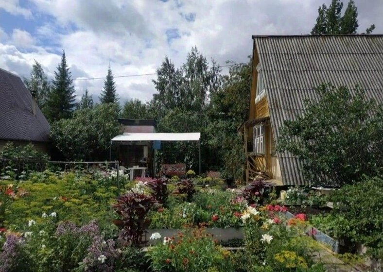 53,2 м² дом, 30 соток участок 700 000 ₽ - изображение 18