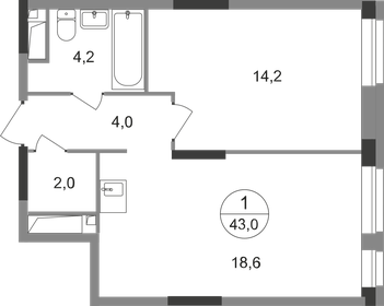 Квартира 43 м², 1-комнатная - изображение 1