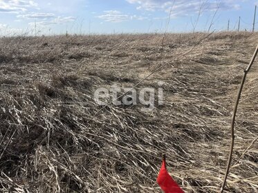 Снять посуточно квартиру на улице Димитрова в Барнауле - изображение 4