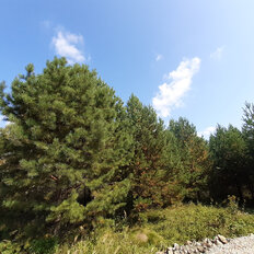 9,2 сотки, участок - изображение 1