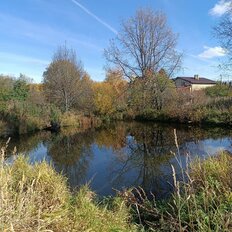 20 соток, участок - изображение 2