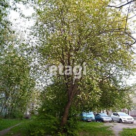 Застройщик Дибуновская в Санкт-Петербурге и ЛО - изображение 7