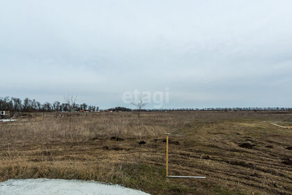 Купить трехкомнатную квартиру без посредников у метро Горьковская в Нижнем Новгороде - изображение 2