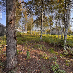 27,7 сотки, участок - изображение 2