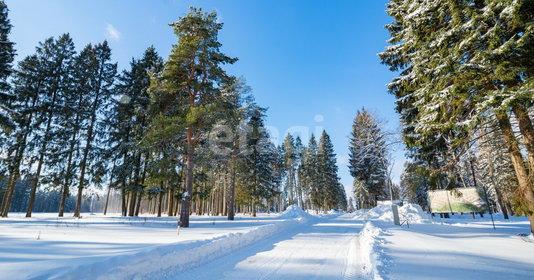 6 соток, участок 6 600 000 ₽ - изображение 12