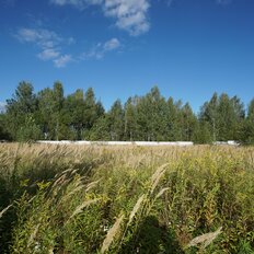 12 соток, участок - изображение 2