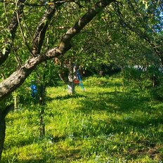 10 соток, участок - изображение 5