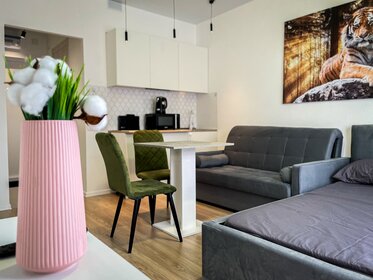 31,4 м², 1-комнатная квартира 3 050 ₽ в сутки - изображение 3