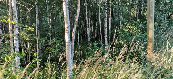 Снять двухкомнатную квартиру у метро Удельная (синяя ветка) в Санкт-Петербурге и ЛО - изображение 2