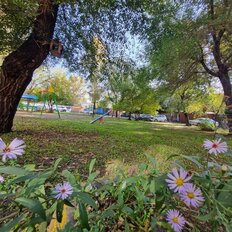 Квартира 43 м², 2-комнатная - изображение 3