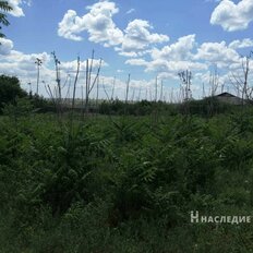11 соток, участок - изображение 3