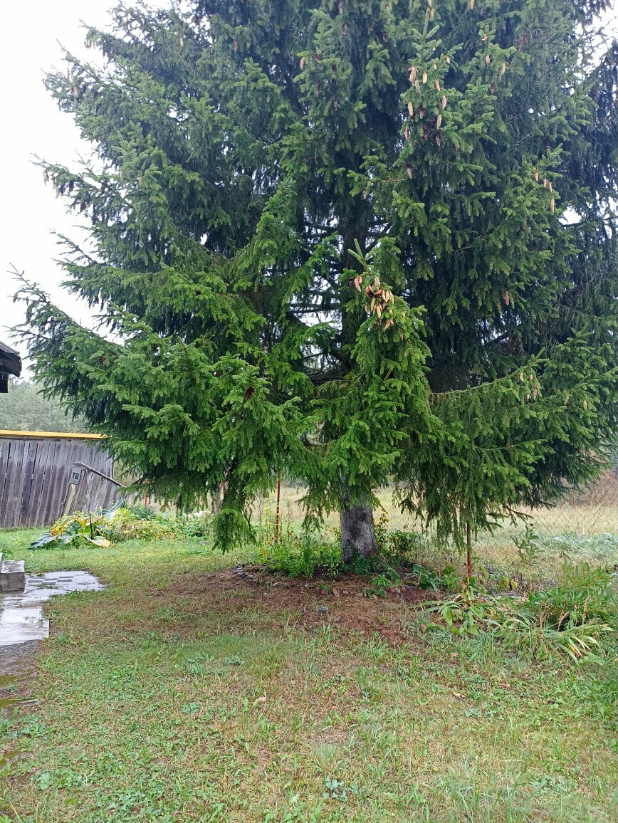 Дом 111 м² в деревня Костелево — фото 2