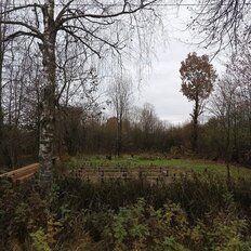 19 соток, участок - изображение 3