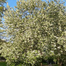 Квартира 56 м², 3-комнатная - изображение 2